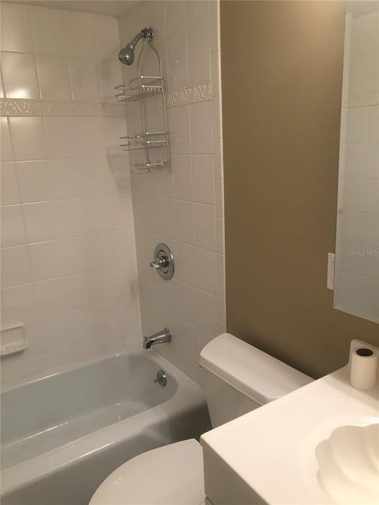 HALL BATH OFFERS TUB WITH SHOWER
