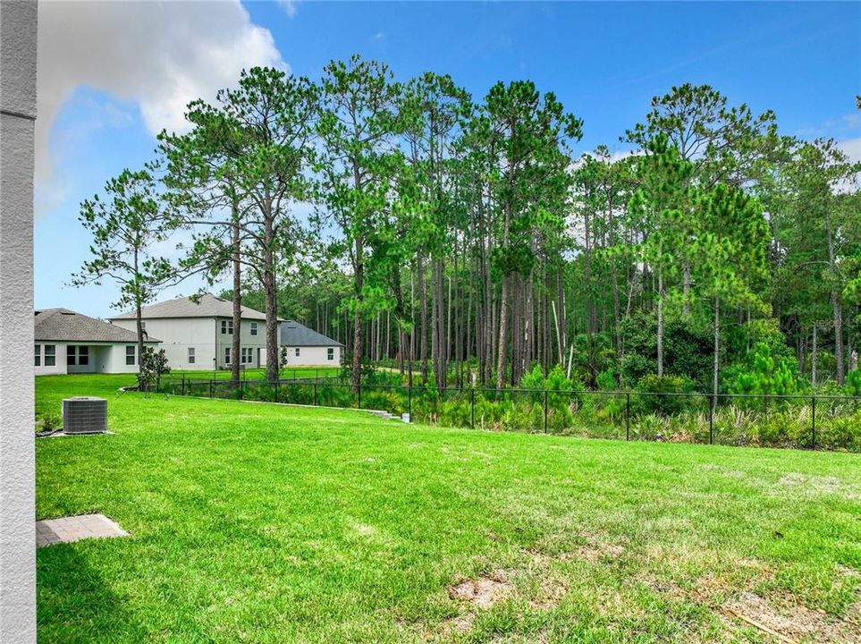 Beautiful Backyard View of Green Space