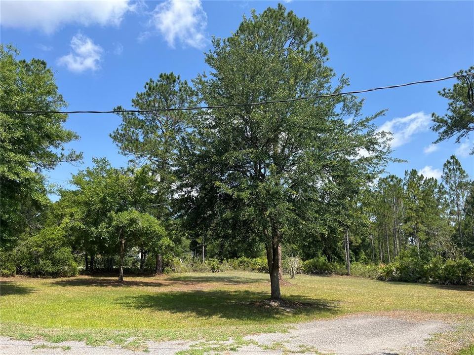 For Sale: $250,000 (3 beds, 2 baths, 1512 Square Feet)