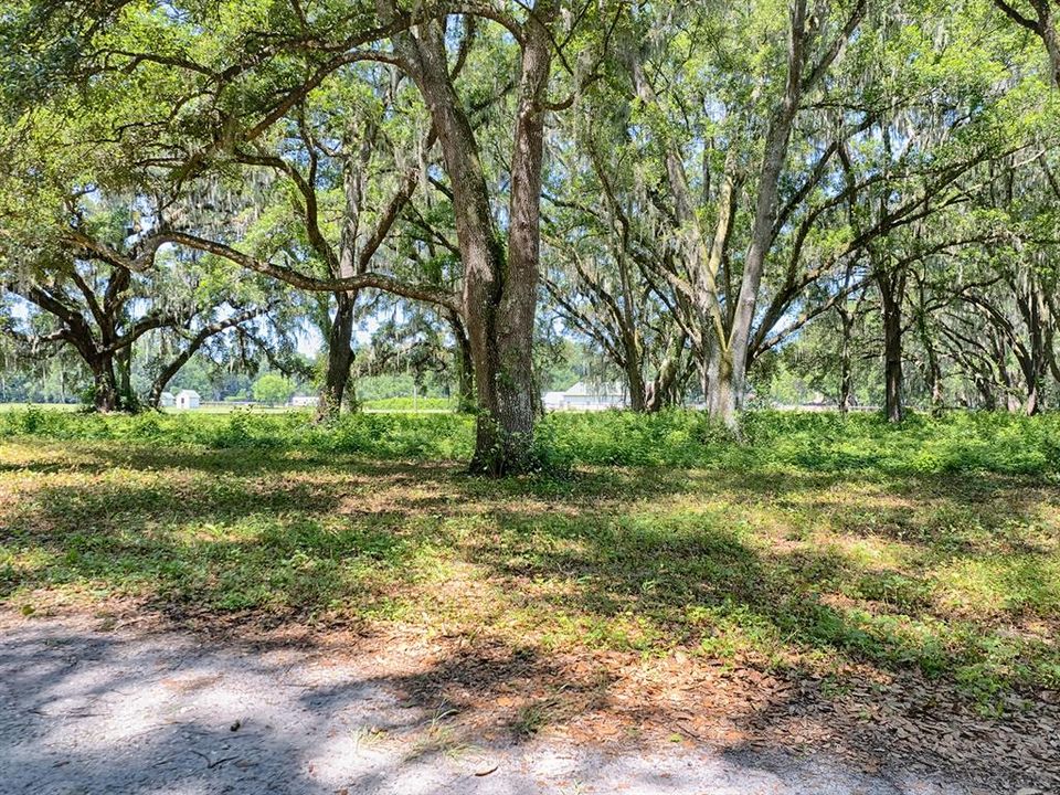 For Sale: $1,425,000 (4 beds, 2 baths, 2382 Square Feet)