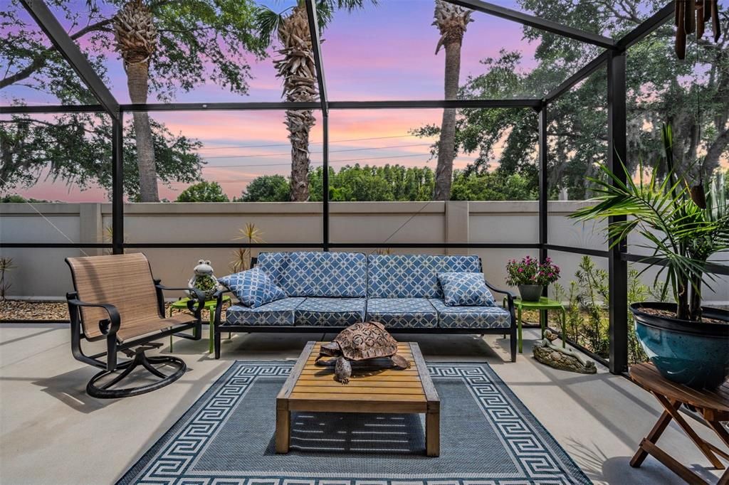 Custom Screened in back patio