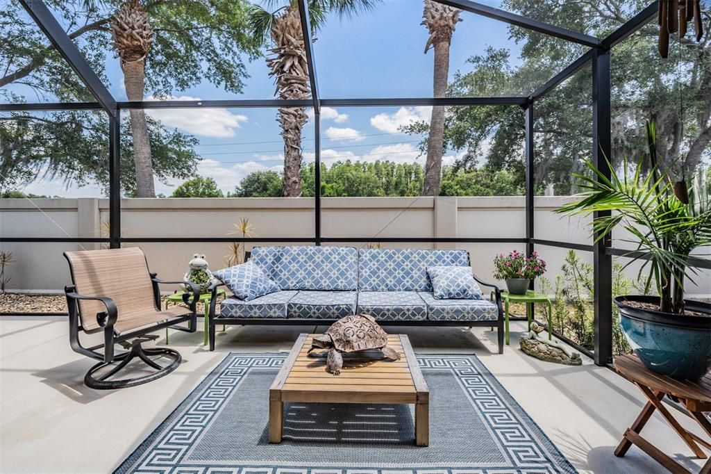 Large, open and screened back patio.