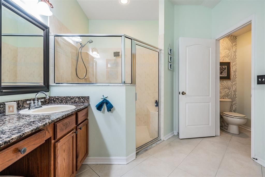 Master Bathroom, granite countertops, spacious shower.