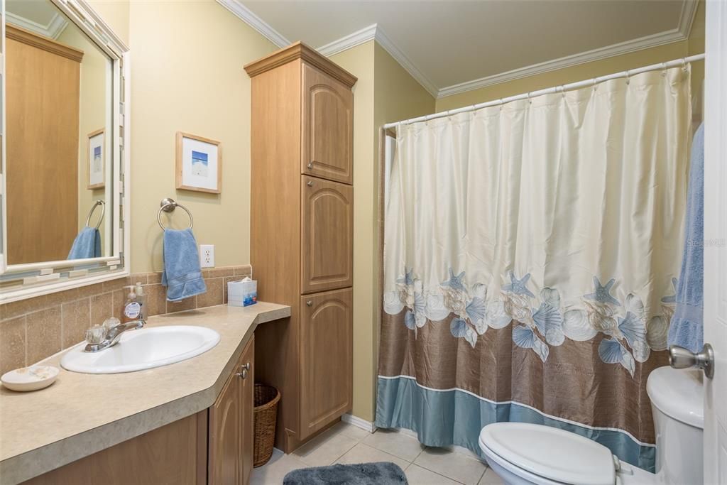 Guest bathroom