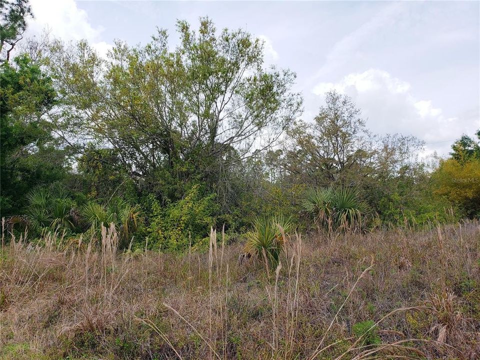 En Venta: $20,000 (0.23 acres)