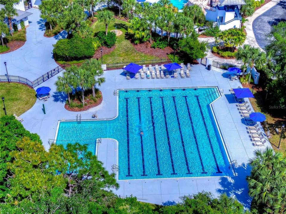 Junior Olympic size lap pool!