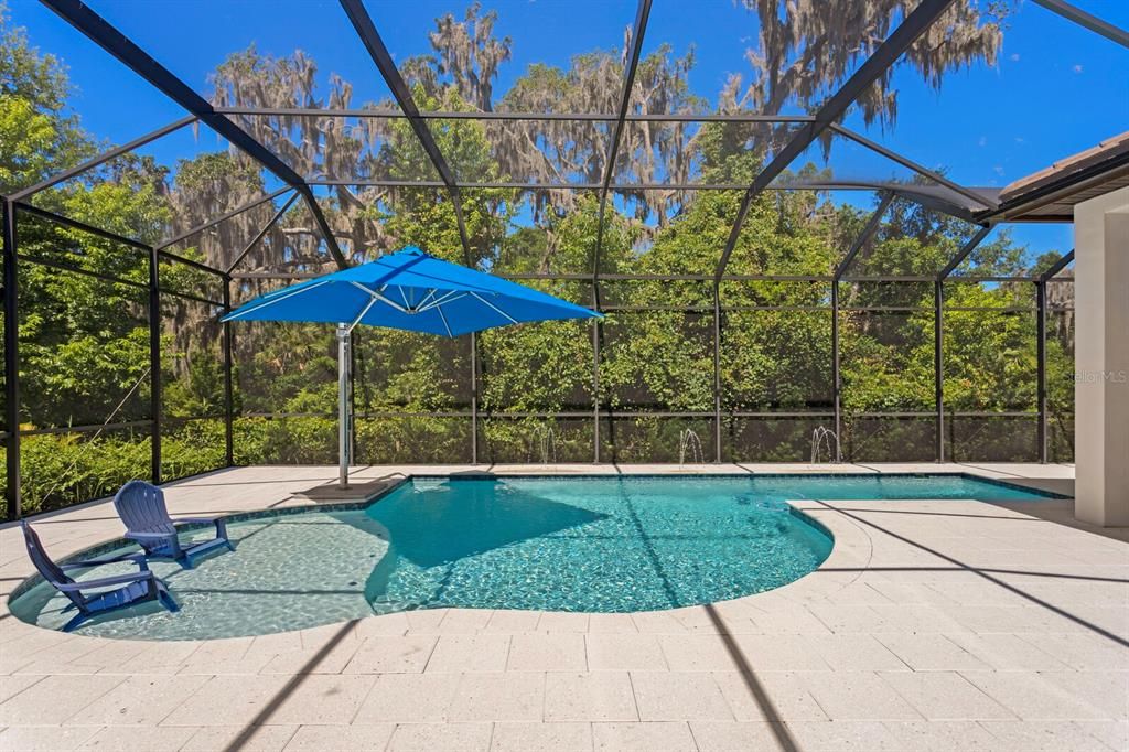 This oversized pool has a sun shelf and pavered patio!
