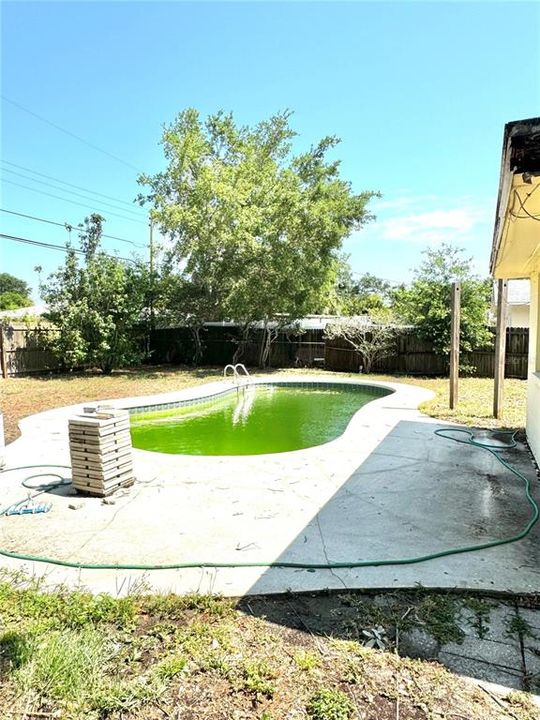 Pool and back yard