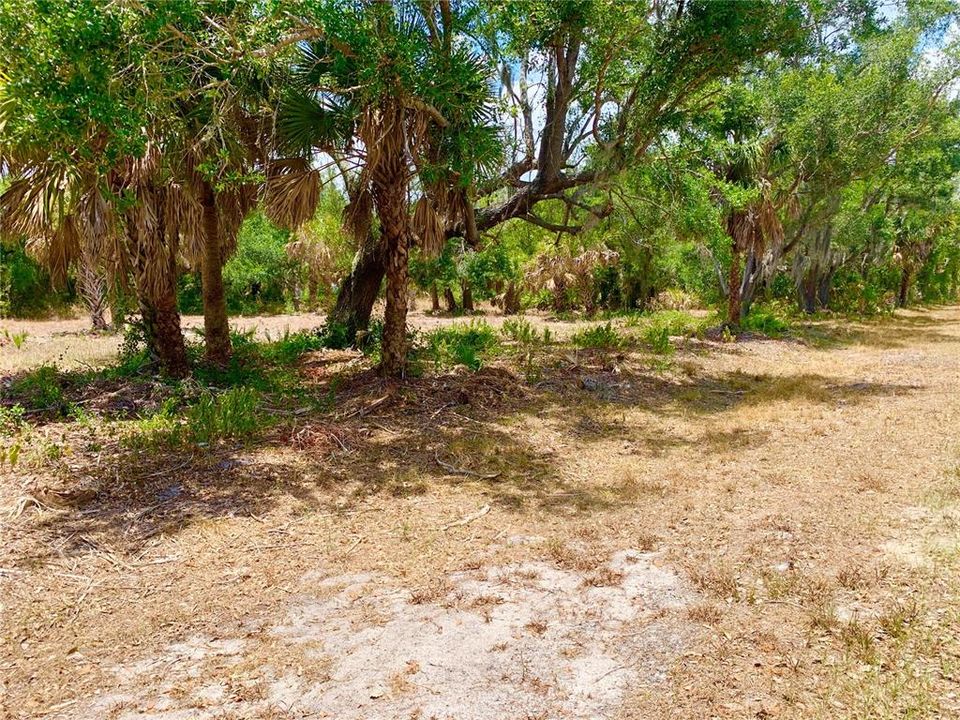 En Venta: $44,900 (0.23 acres)