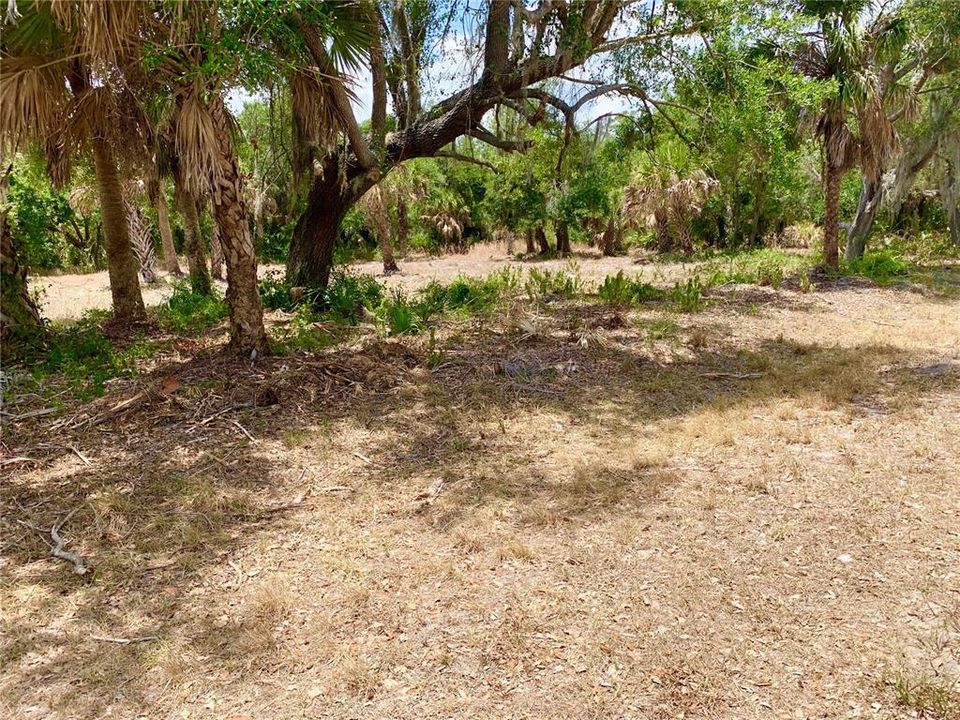 En Venta: $44,900 (0.23 acres)