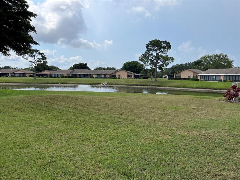 Pond View