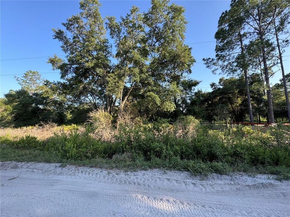 Active With Contract: $30,000 (1.25 acres)