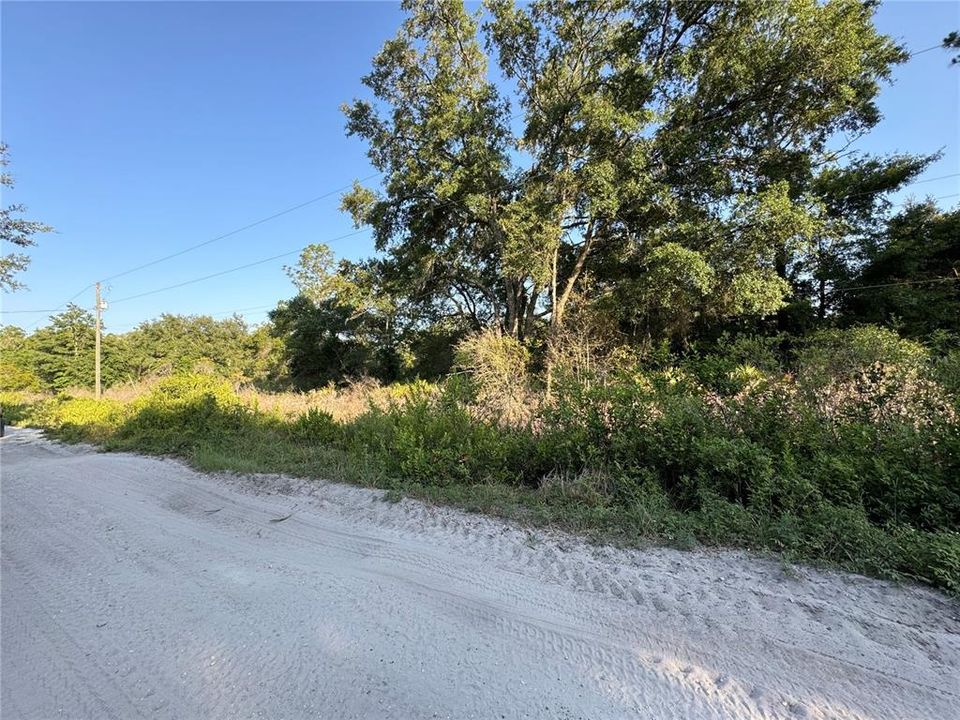 Active With Contract: $30,000 (1.25 acres)