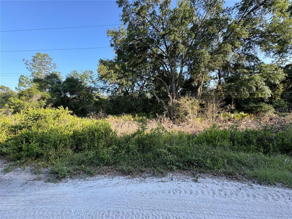 Active With Contract: $30,000 (1.25 acres)