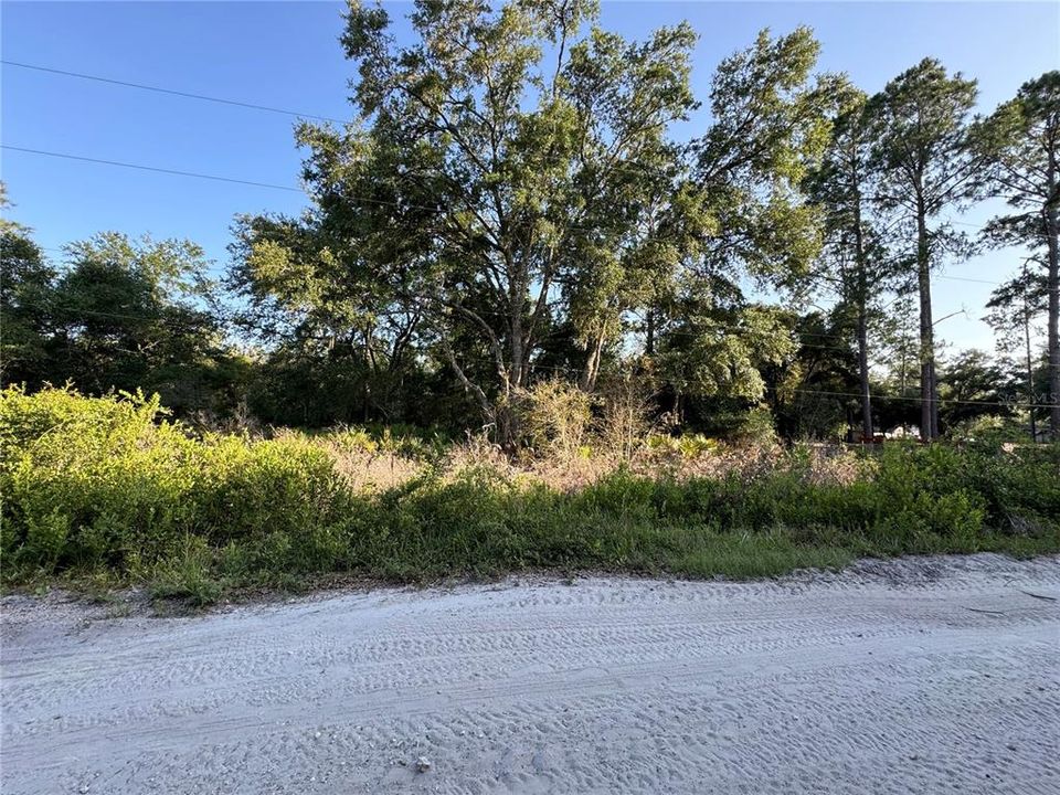 Active With Contract: $30,000 (1.25 acres)