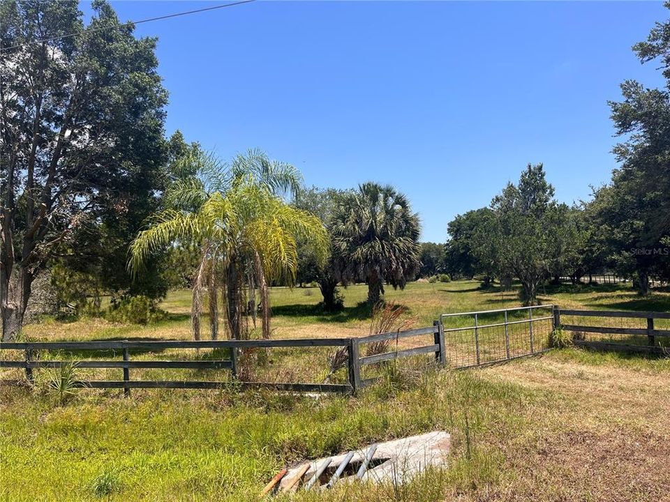 Frontage of 5 acre Lot