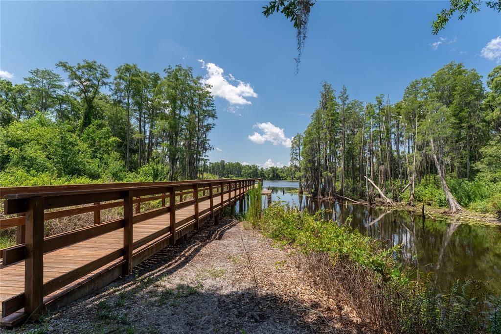 Community boardwalk to nearby nature preserve