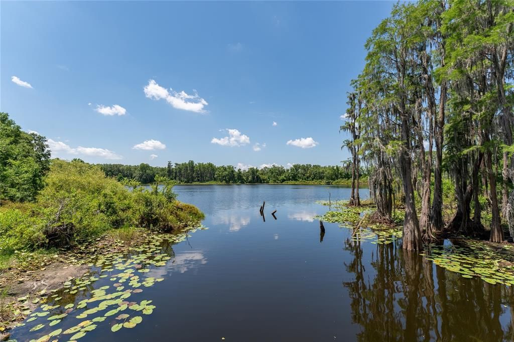 For Sale: $429,900 (3 beds, 2 baths, 1961 Square Feet)