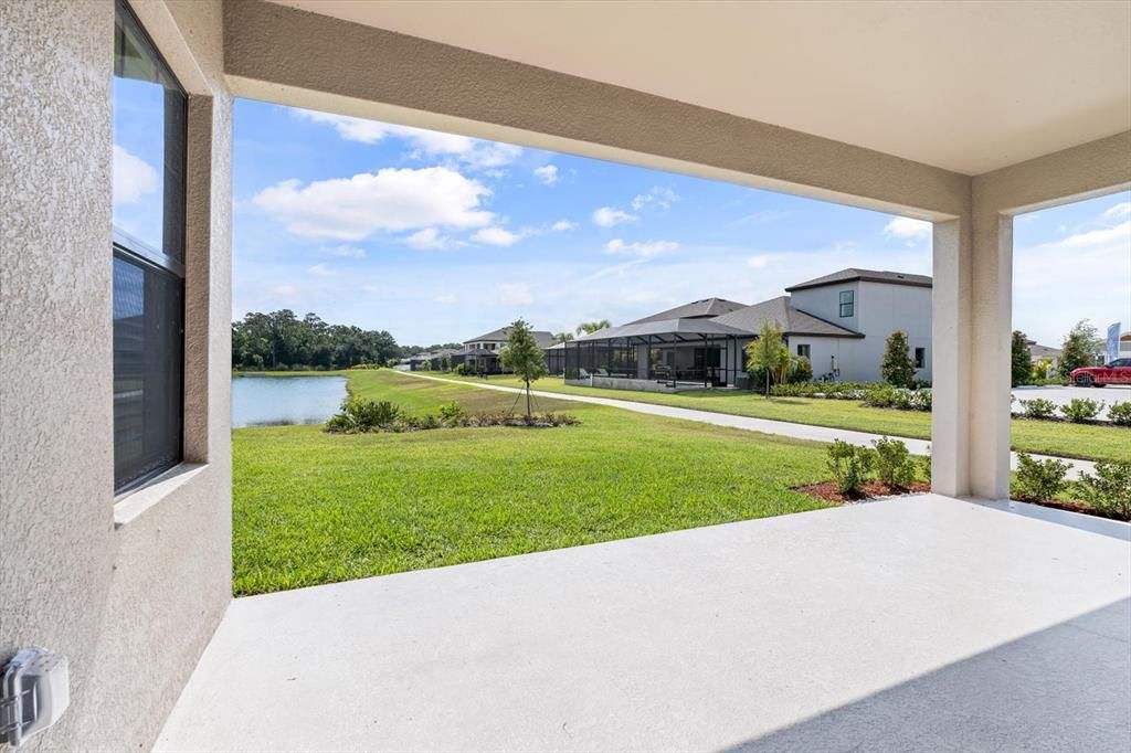 Overlooking backyard