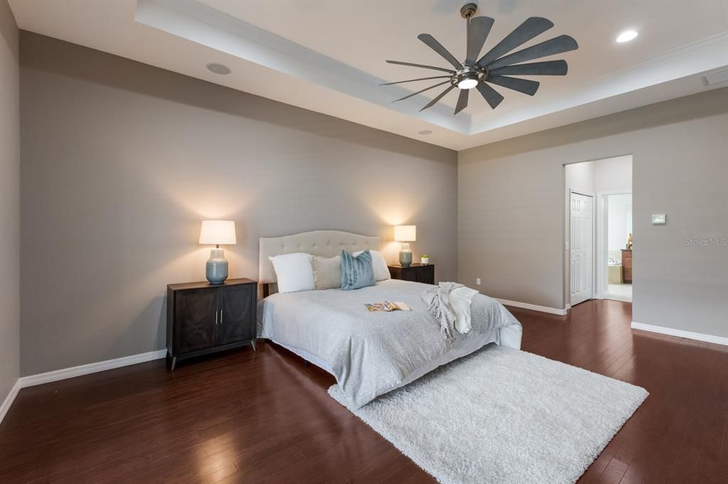 Tall ceilings in Primary Bedroom