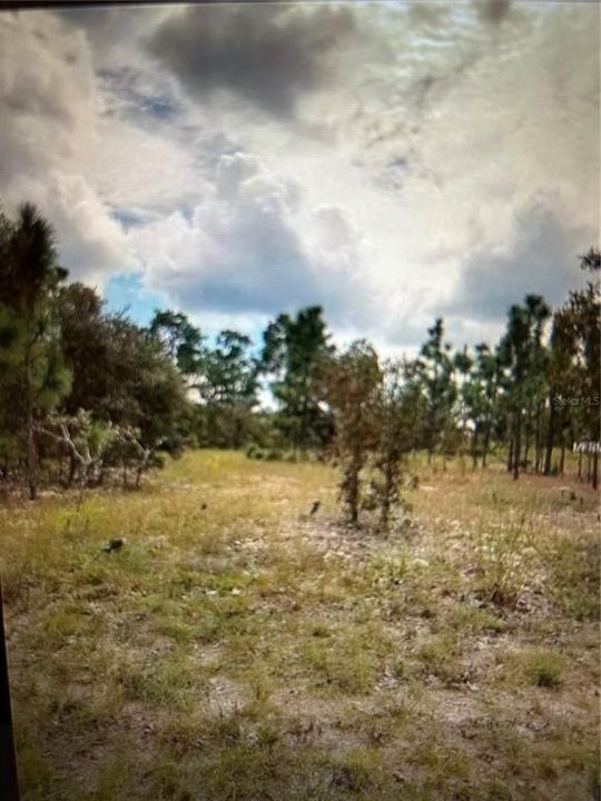 Vendido Recientemente: $10,000 (0.23 acres)