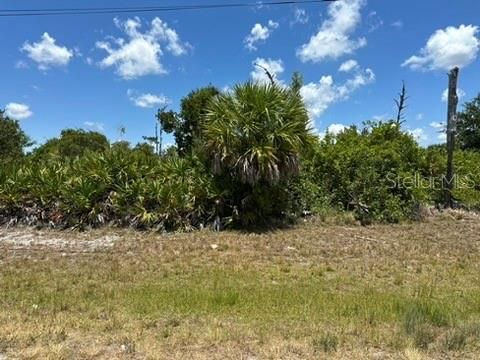 En Venta: $24,900 (0.17 acres)