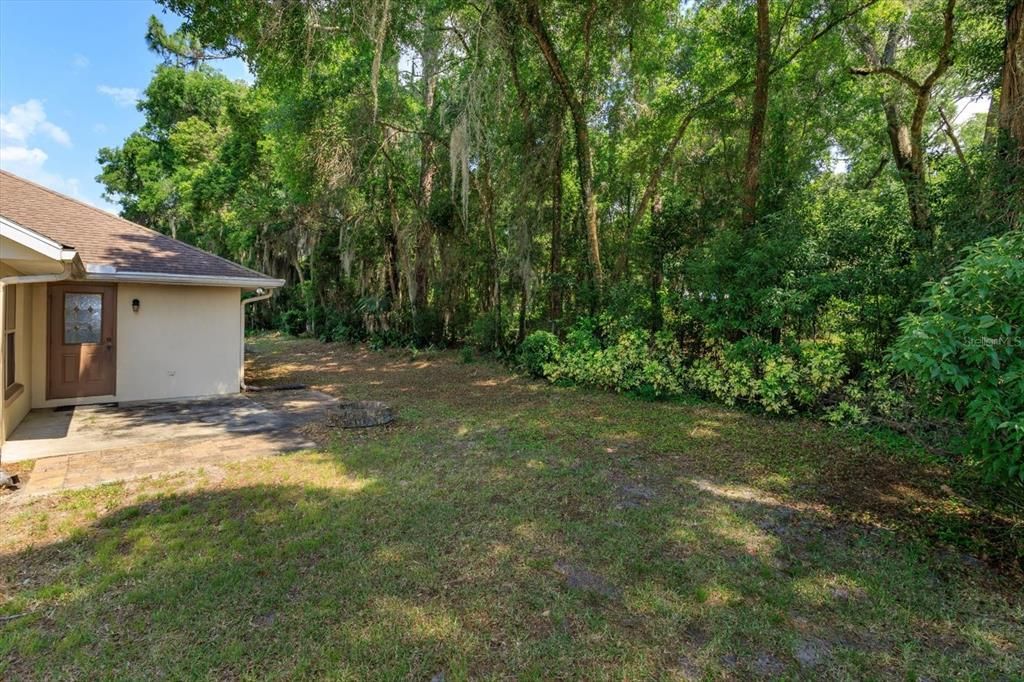 Backyard looking towards house