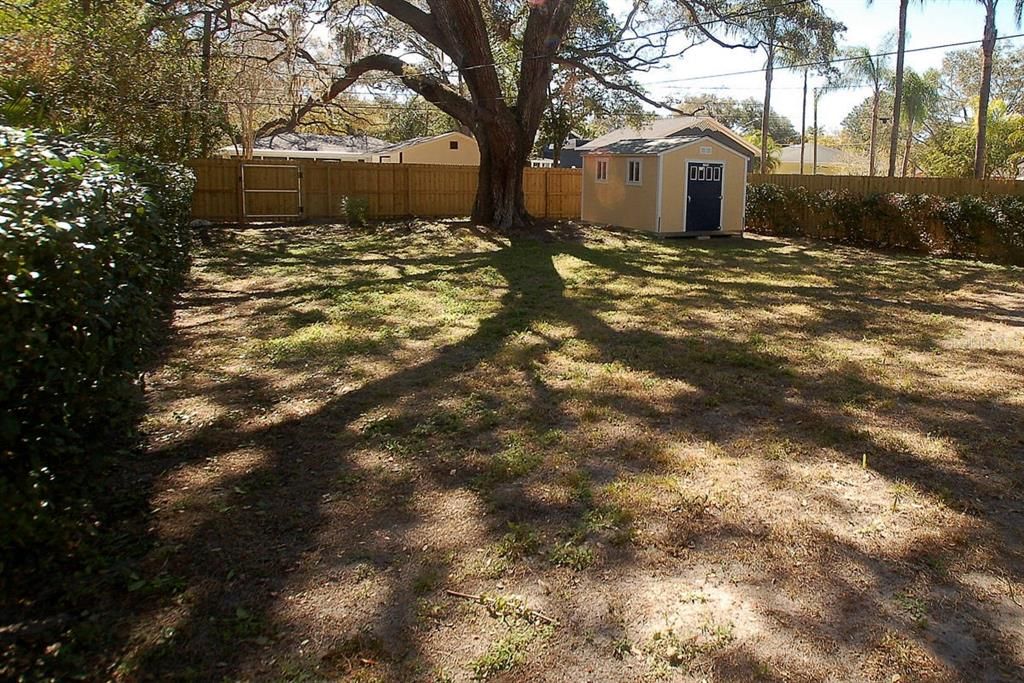 Back Yard Shade