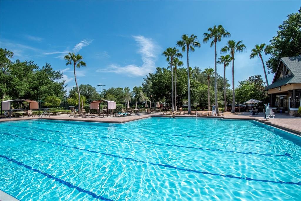 Lap Pool at Wilderness Lodge