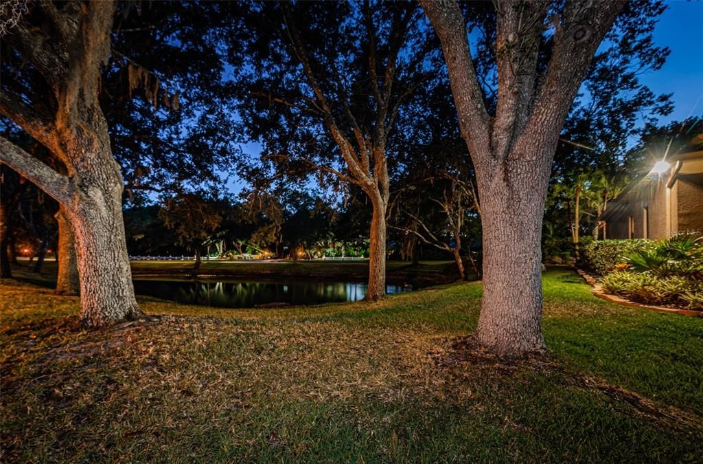 Pool View at Night