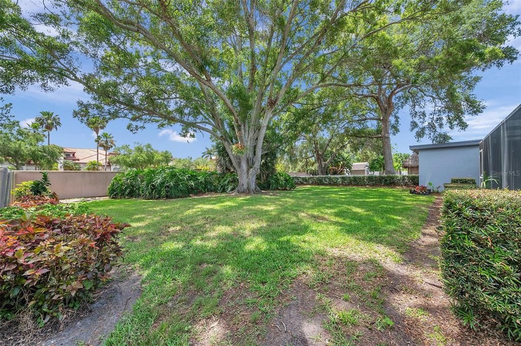 Backyard Large Enough For Outdoor Entertaining