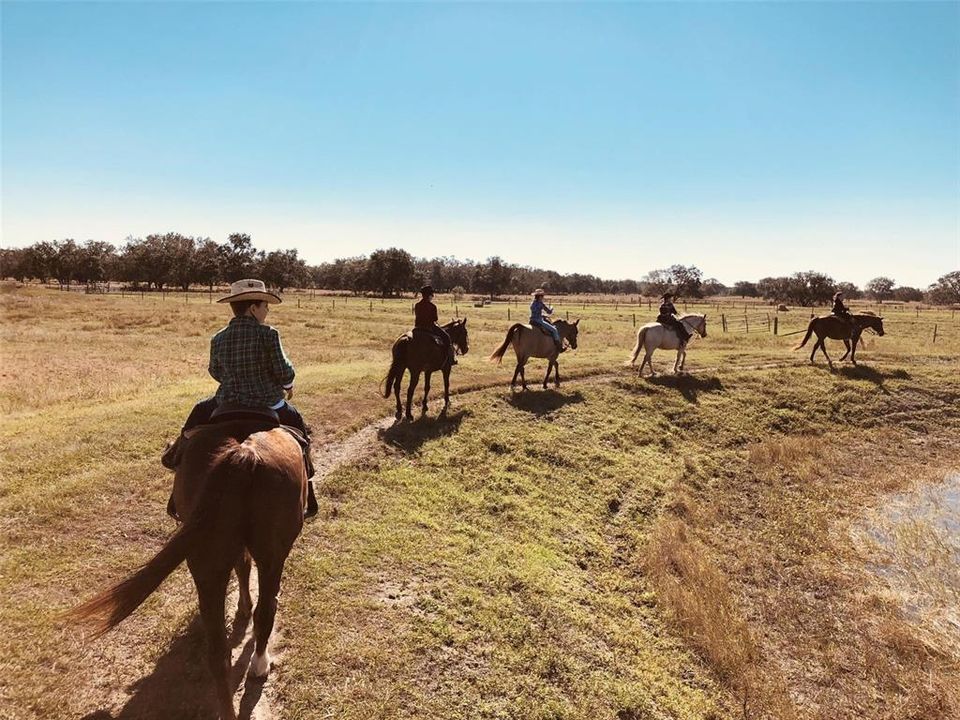 На продажу: $165,000 (0.06 acres)