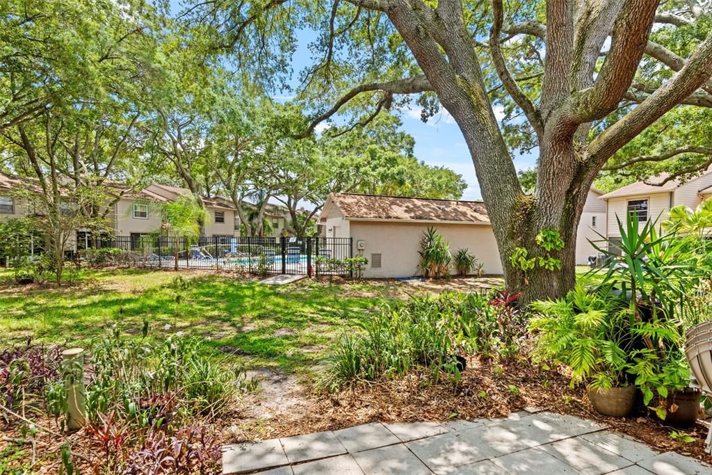 View of the community pool from the home.