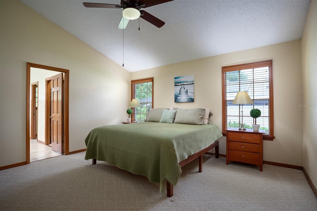 Spacious Primary Bedroom with volume ceiling.