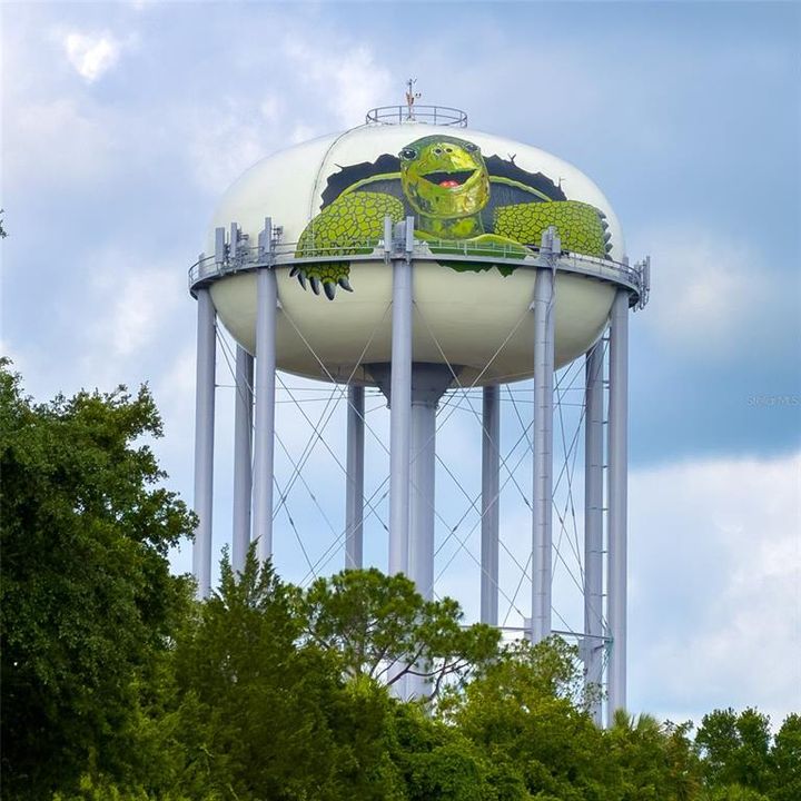 Dunedin's Turtle Water Tower by the Causeway