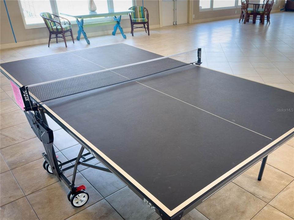 Ping Pong Table