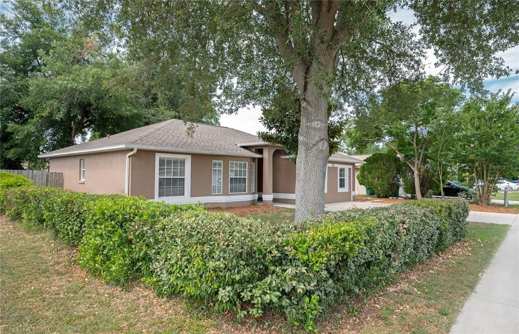 The bushes in the front yard give this yard some privacy