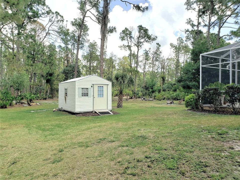 Finished Shed