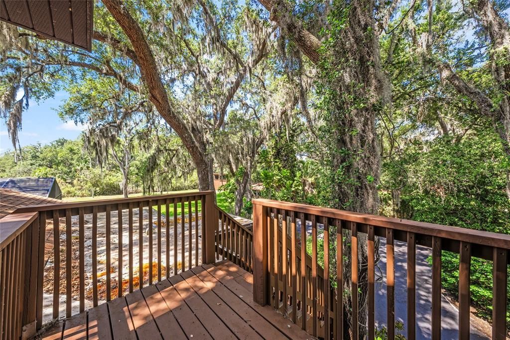 This beautiful deck is off the upstairs Family Room and upstairs suite which has its own private entrance.