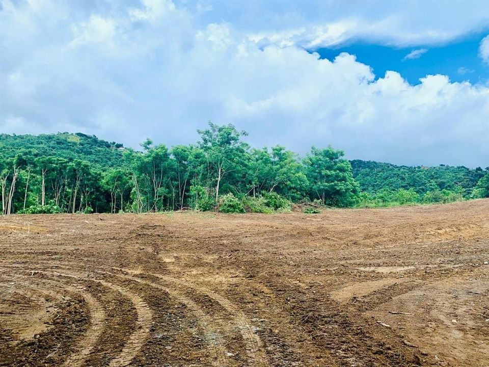 На продажу: $625,000 (52.42 acres)