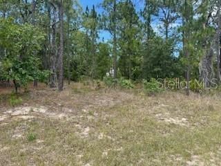 Active With Contract: $22,000 (0.23 acres)