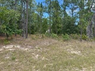 Active With Contract: $22,000 (0.23 acres)