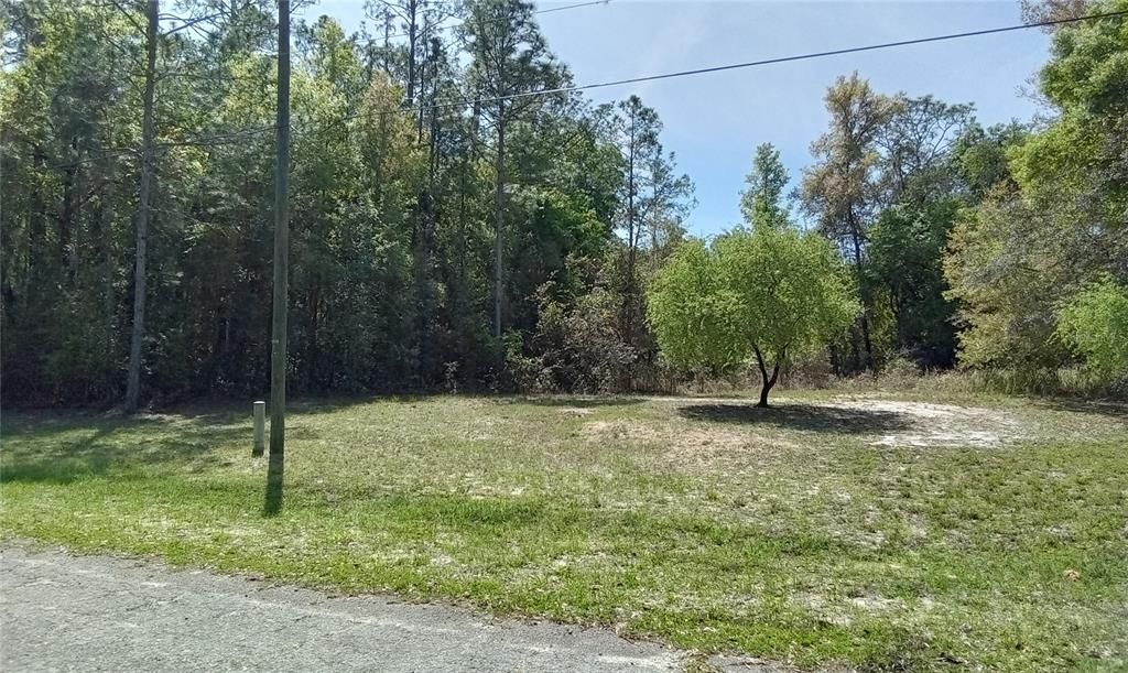 Active With Contract: $23,500 (0.34 acres)