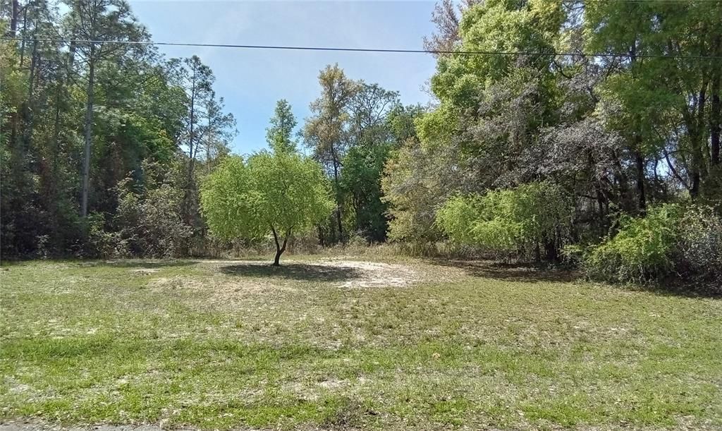 Active With Contract: $23,500 (0.34 acres)