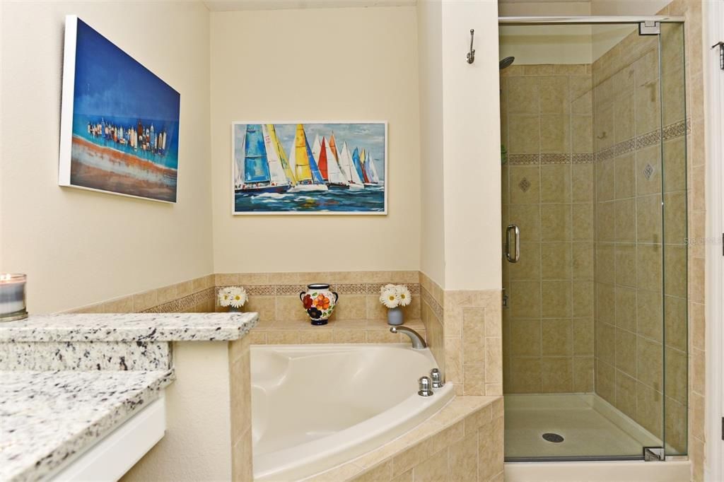 Soaking Tub & Separate Shower