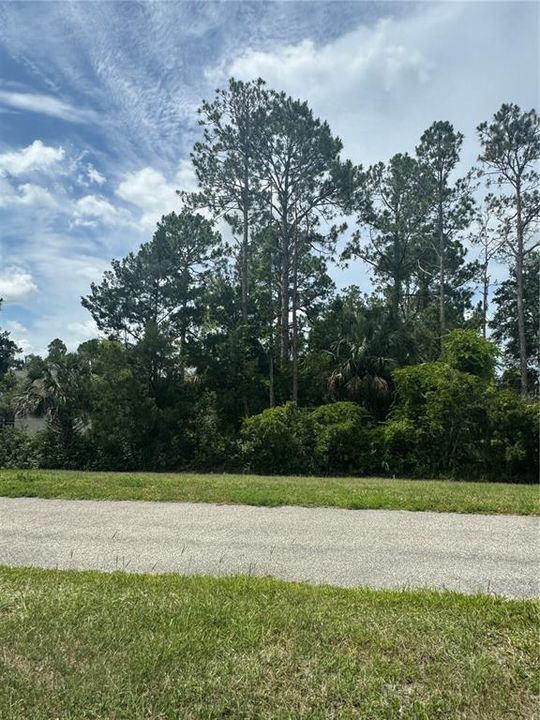 Active With Contract: $56,000 (0.23 acres)