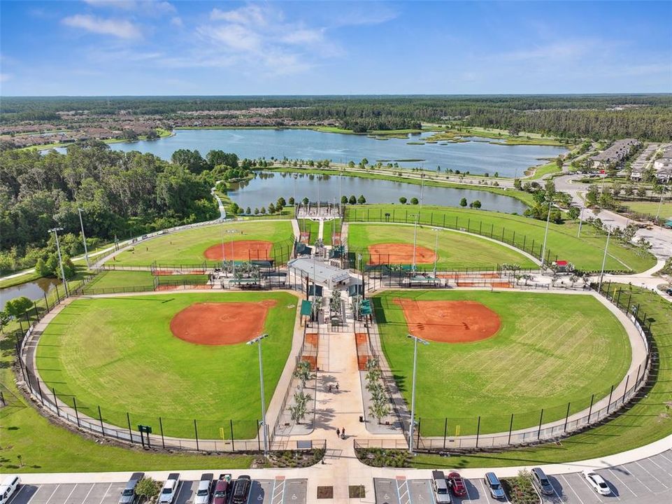 Pasco county district park with lacrosse/soccer/football fields and baseball fields.