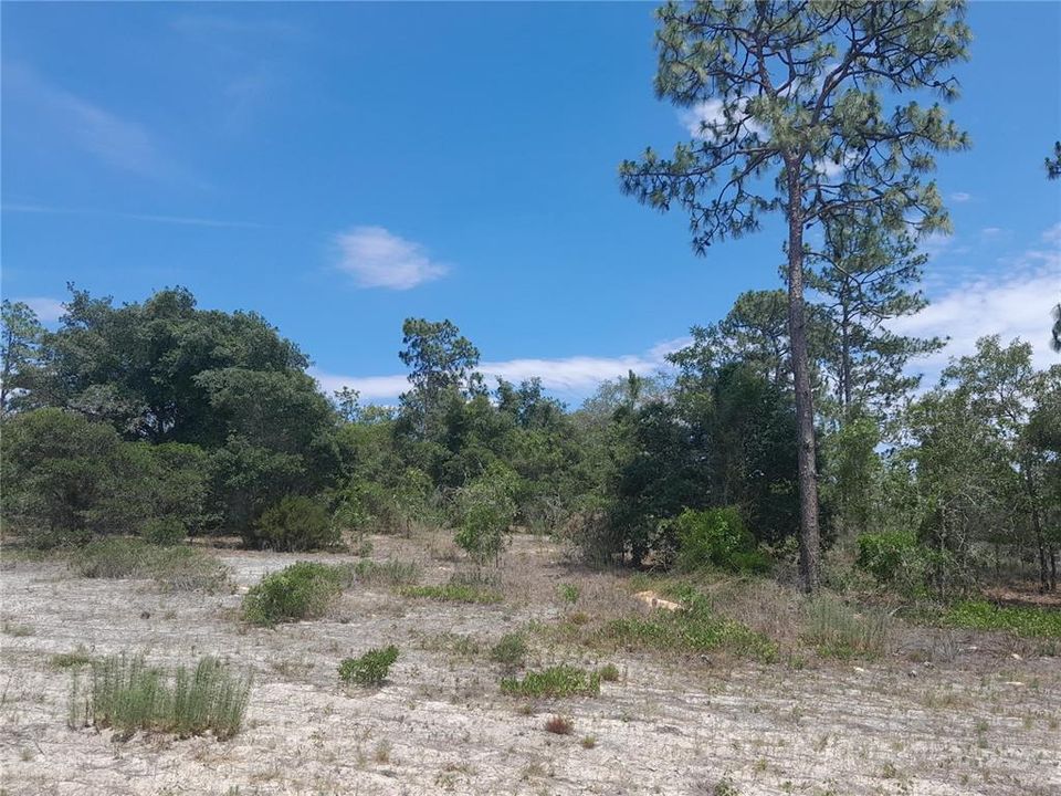 En Venta: $29,995 (0.46 acres)