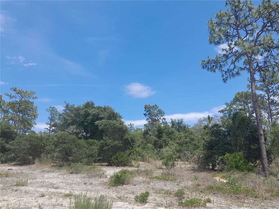 En Venta: $29,995 (0.46 acres)