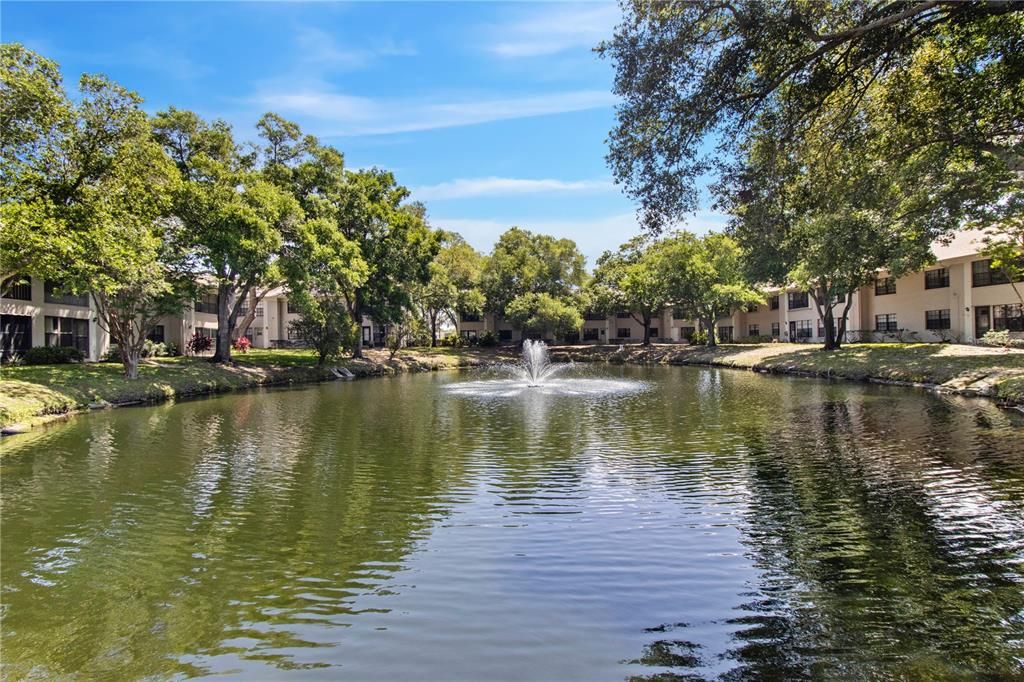 Community pond